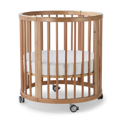 Lolli Furniture Sprout 4 in 1 Natural beech wood Including the Australian made mattress set